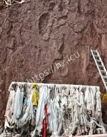 惊现神秘巨型大脚印