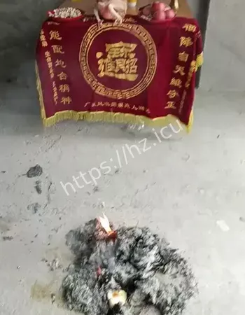 我现在还做噩梦