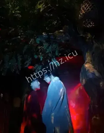 千年老槐树被砍之后