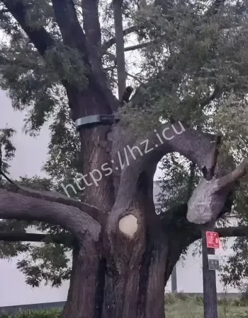 所有报应都来了