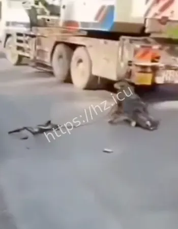 鬼火一响爹妈白养