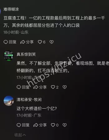 山东临沂大桥塌陷事件