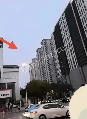 李俊杰副驾遭阉割视频