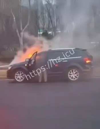 司机跳车逃生又折返