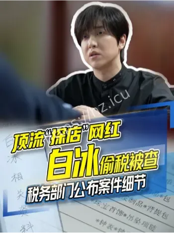 查处网红偷税案