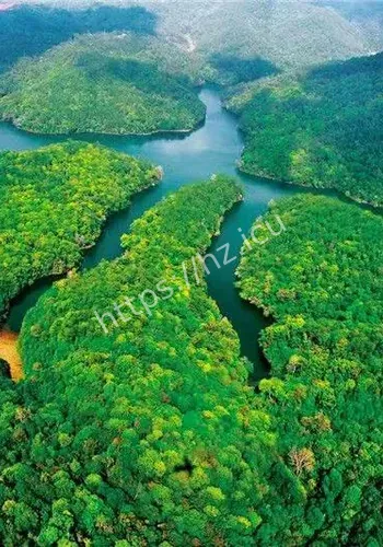 云南普洱邀游客旅居感事件