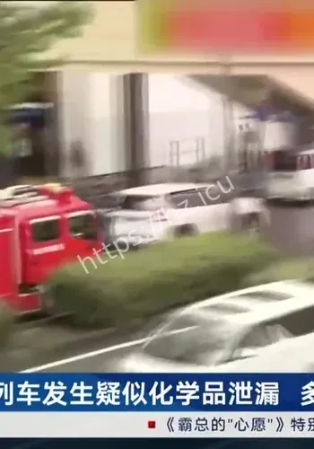 中新网 4月28日电后续