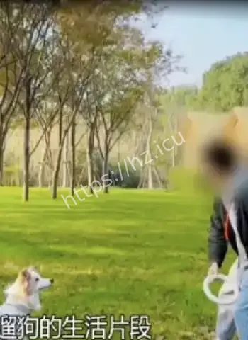 出狱男子交往女性