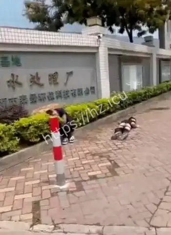 反抗中咬断对方