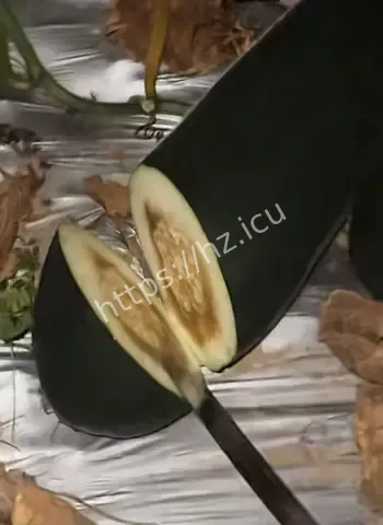 深夜狂敲冬瓜南瓜成网红