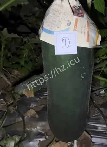 神技月入十几万