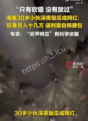 小伙敲冬瓜成网红