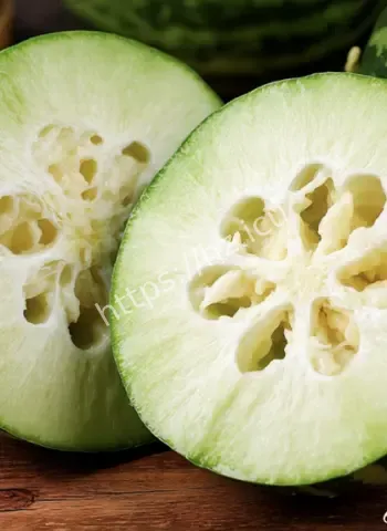 神技月入十几万