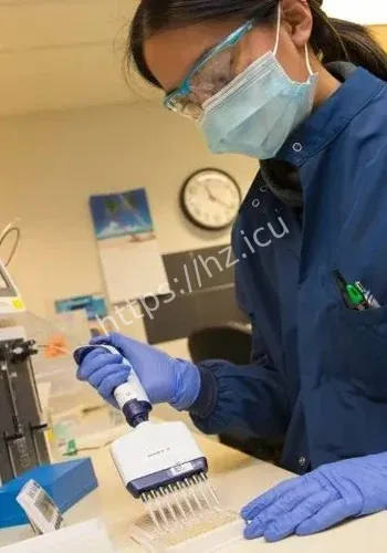 美国尖端争议焦点