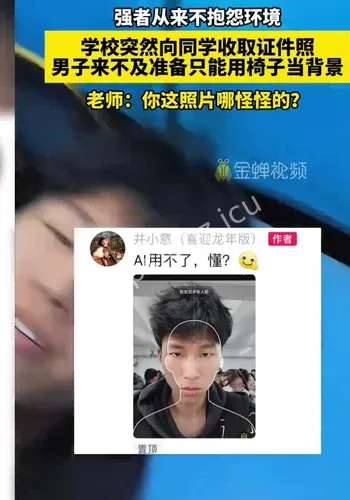 紫牛热点校方回应事件全程