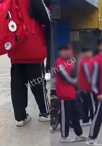 紫牛热点校方回应时间线