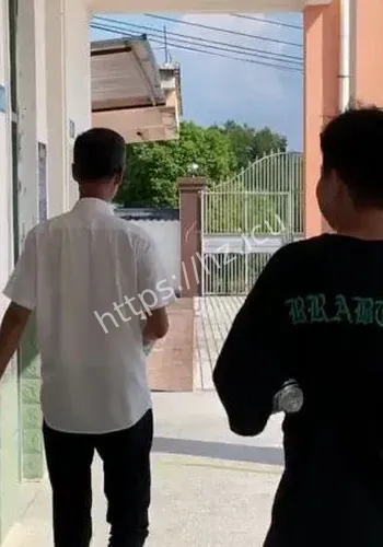 紫牛热点校方回应时间线