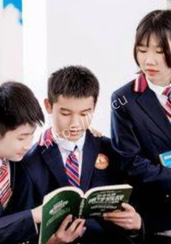 紫牛热点公开回应细节