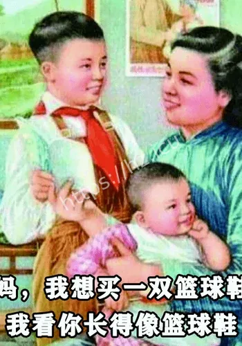 我怀孕婆舆论走向