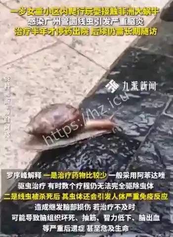 女童接触大蜗牛患脑炎