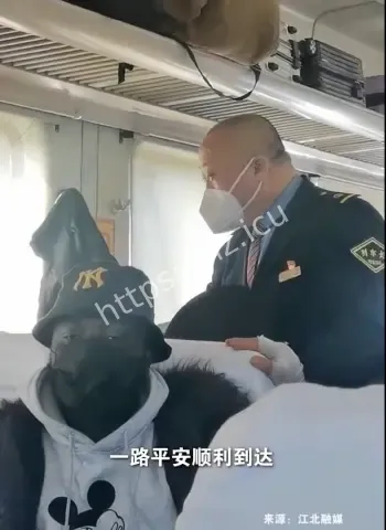 高铁大闹