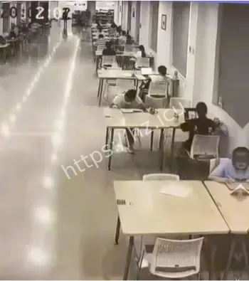 杨景媛更新动态