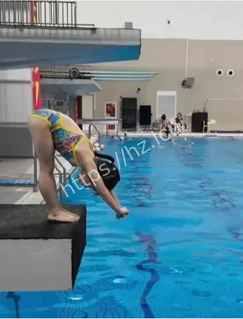 跳水冠军新搭档