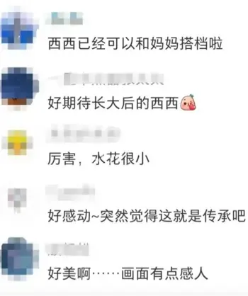 母女双人跳水视频