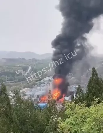 淄博九圣化工厂