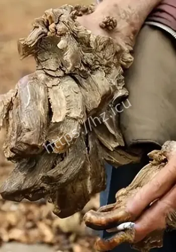 湖南山村奇闻事件