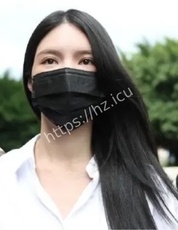 王大陆闪兵逃兵案