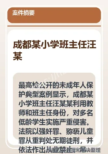 成都某小学班主任案件梳理