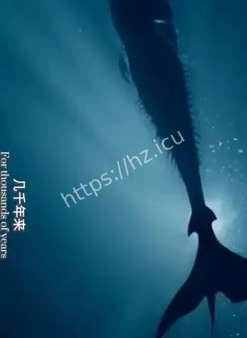 画面太惊悚