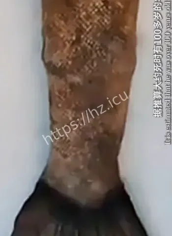 神秘美人鱼真的存在