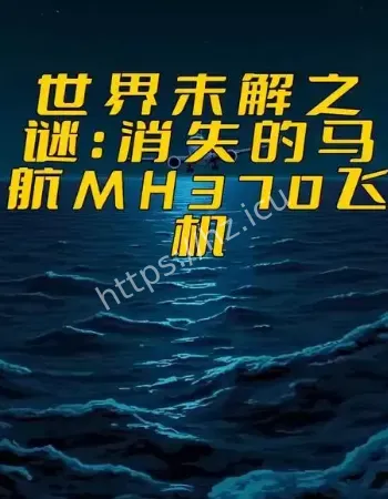 飞机被完美隐藏