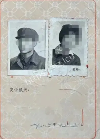 婚内财产转移案
