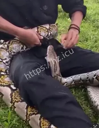 男子命根子