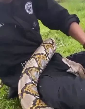 男子痛到扭曲自救