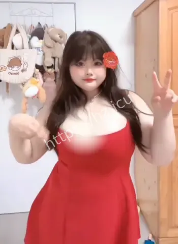 两只猫