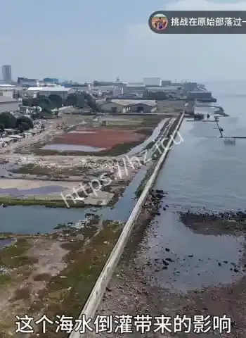 当地人现场吃蝙蝠喝蛇血