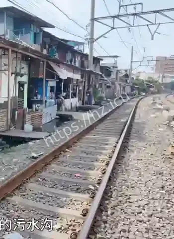 当地人吃蝙蝠喝蛇血