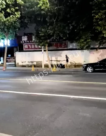 公开调教