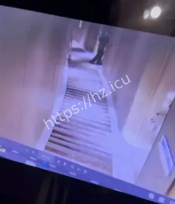 大量视频与细节曝光