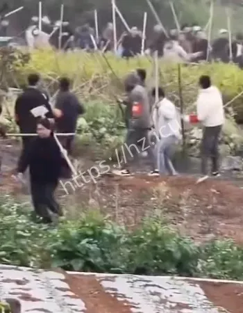 广西相邻村庄