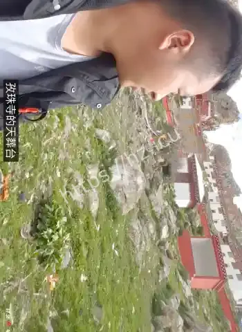 红眼秃鹫狂袭