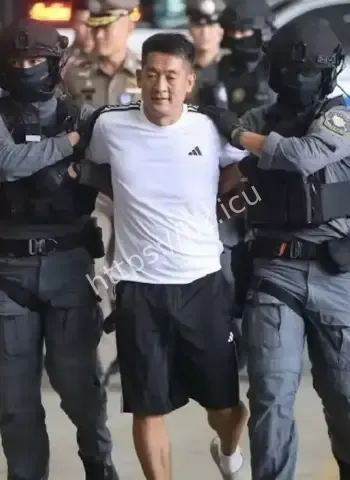 佘智江KK园区金主