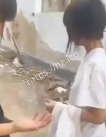 平邑县七小