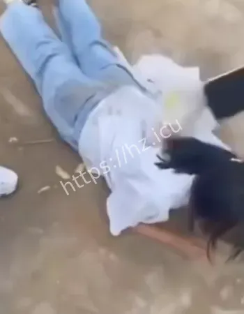 平邑县七小