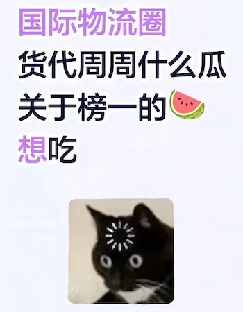 深圳货代颜值女神
