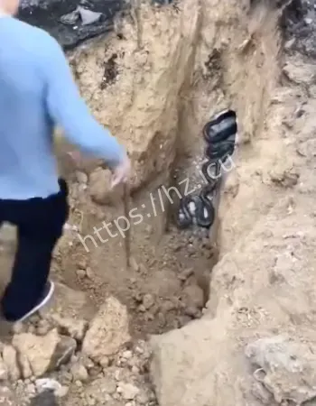 全程不眨眼